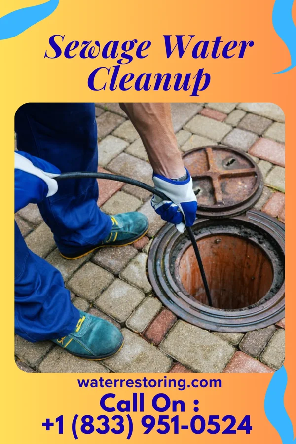 Sewage Water Cleanup in Burnside, KY